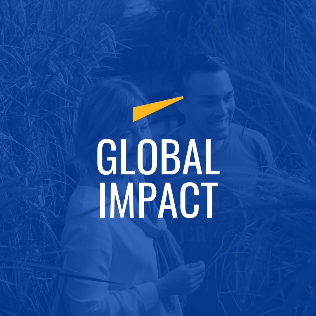 Global Impact prospective student webpage logo