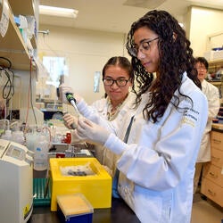 Undergraduate Majors Biochemistry Amber and Merrett in Lab