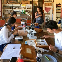 Undergraduate Majors Entomology Students Working on Location