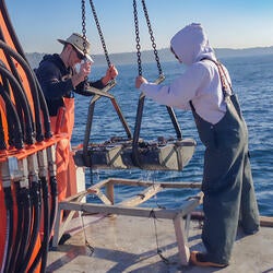 Undergraduate Majors Environmental Sciences Taking Ocean Samples