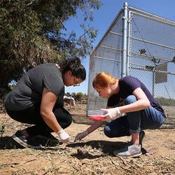 Forensic Lab Students in the Field