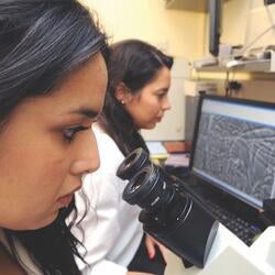 Undergraduate Majors Cell, Molecular, and Developmental Biology Lab