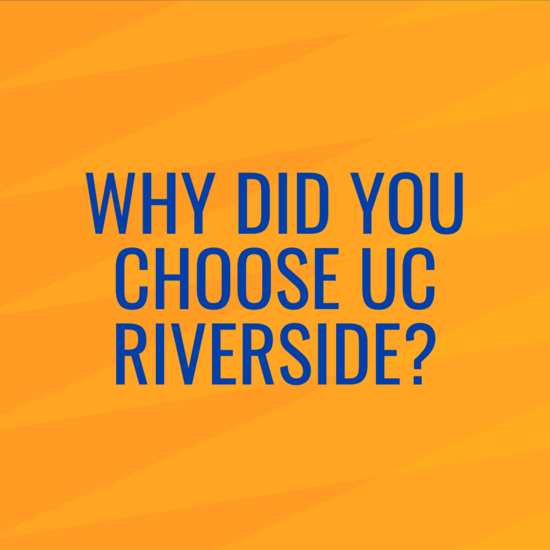 Why Did You Choose UC Riverside?