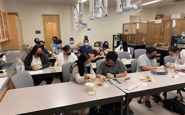 Undergraduate Majors Neuroscience Students in Class