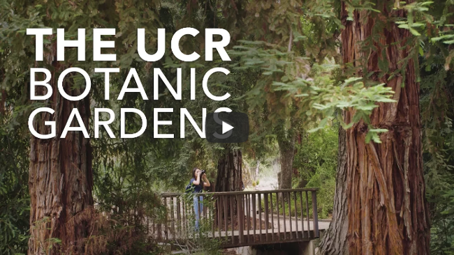 The UCR Botanic Garden
