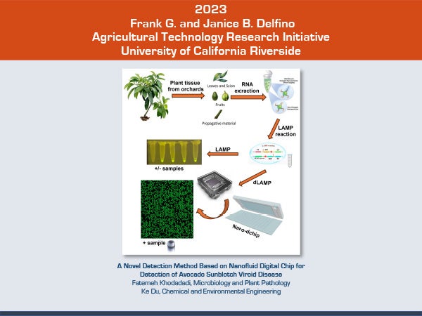 2023 Delfino Initiative Project
