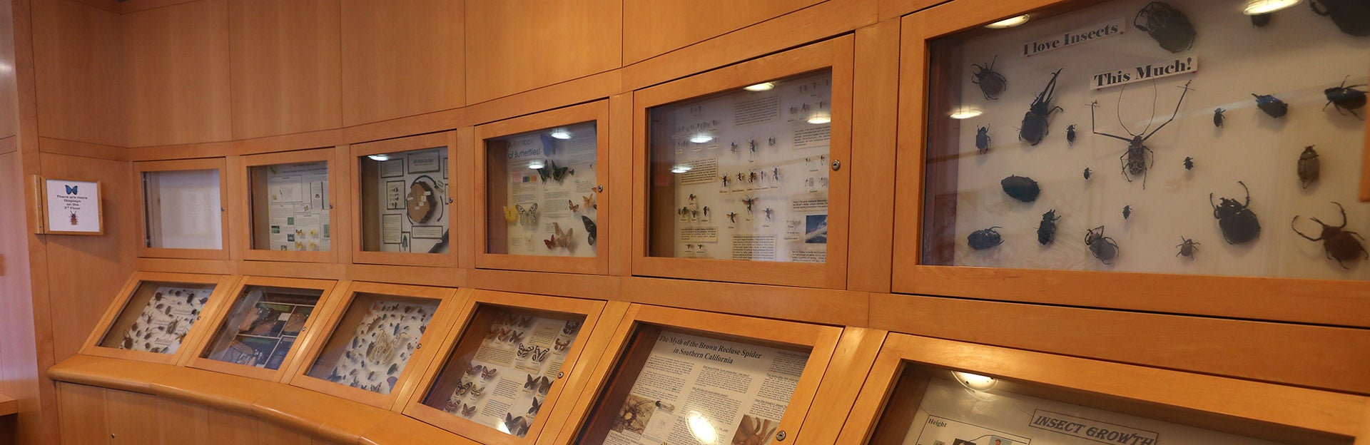 Entomology Research Museum (c) UCR / Stan Lim 2019