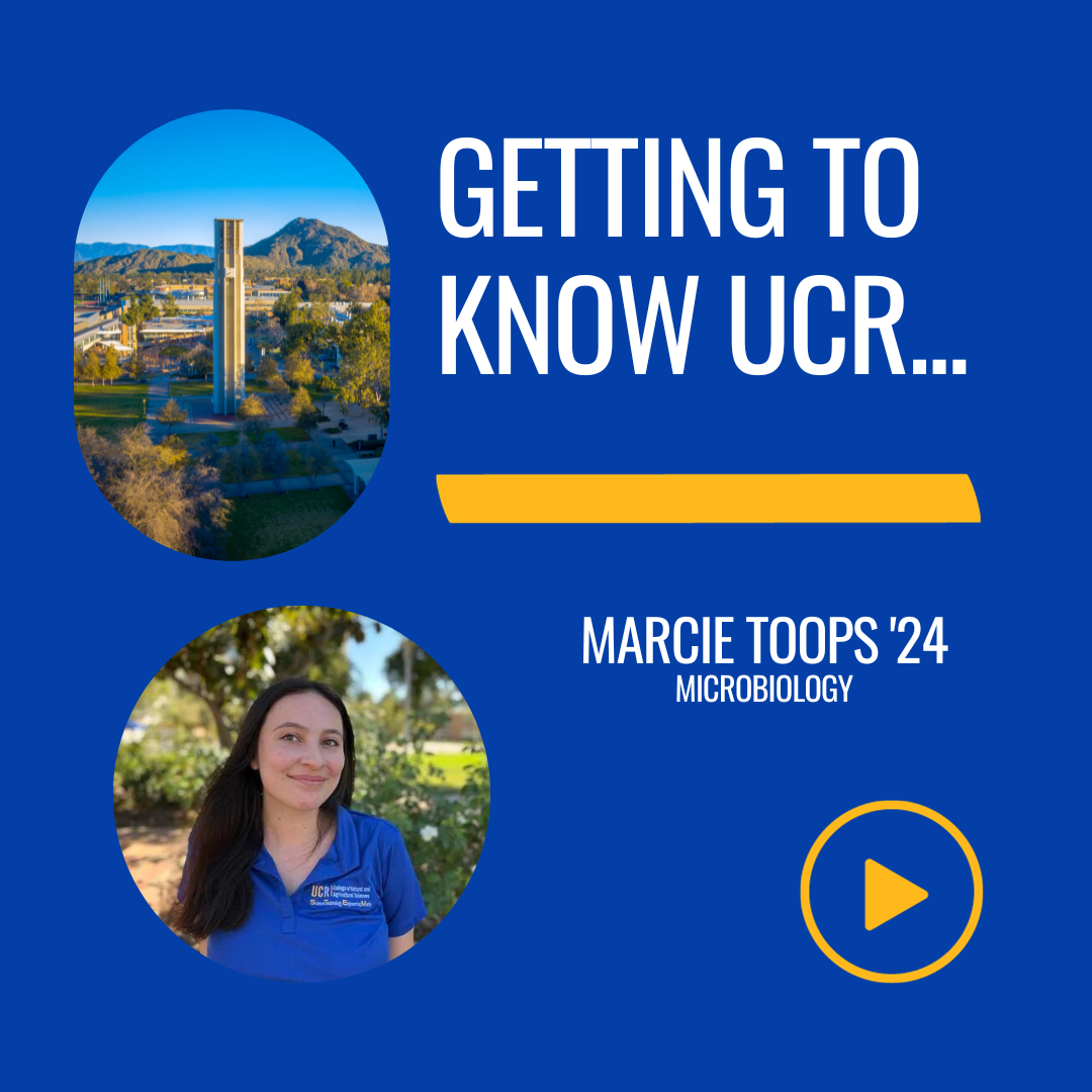 Getting to Know UCR Marcie Toops