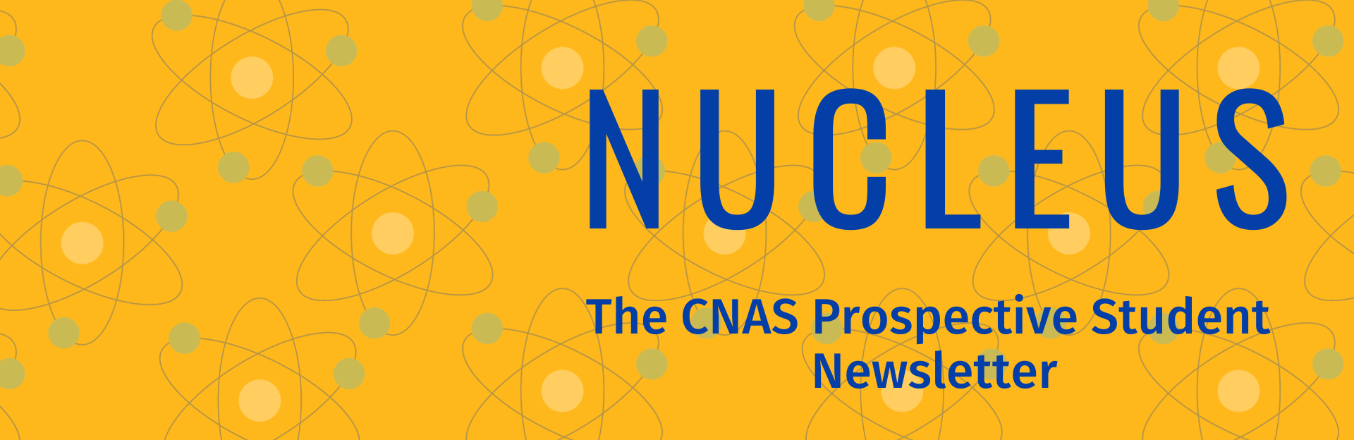 NUCLEUS Newsletter Archive