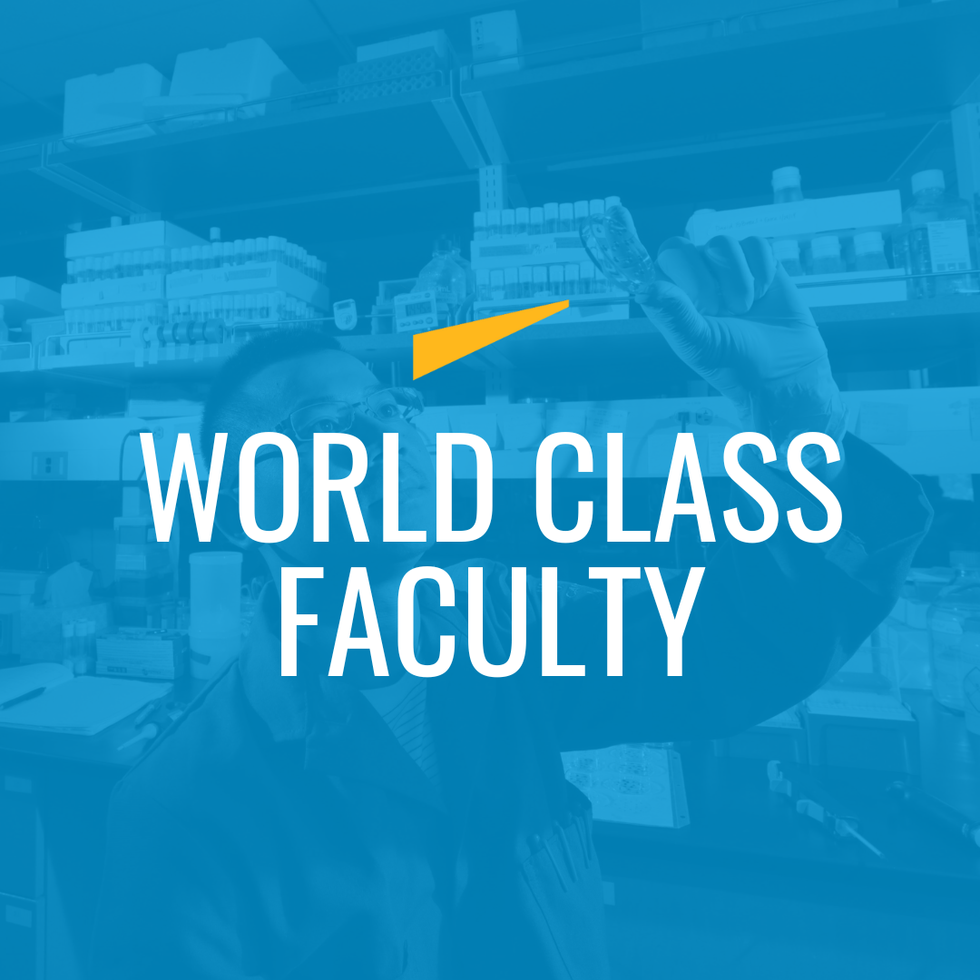 World Class Faculty prospective student webpage logo