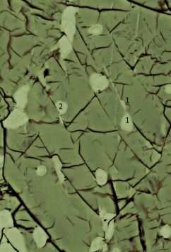 Pyroxene crystal (c) Green Lab / UCR