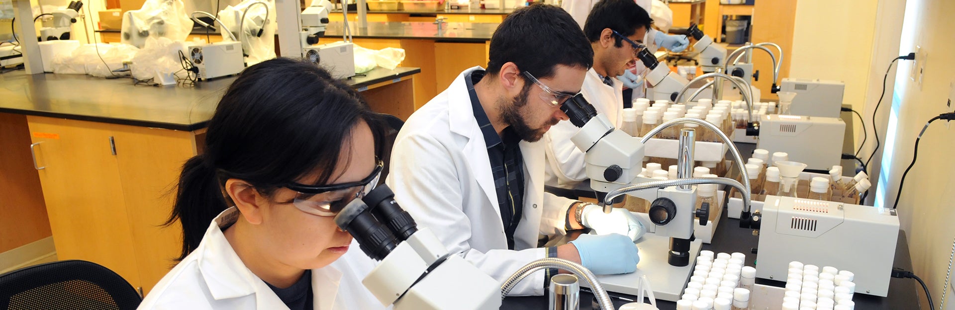 (c) UCR CNAS - students looking through microscopes