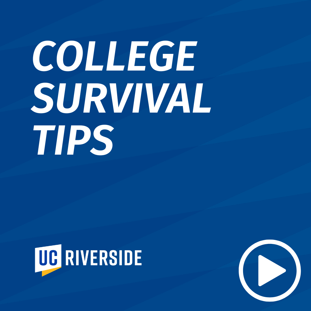 College Survival Tips