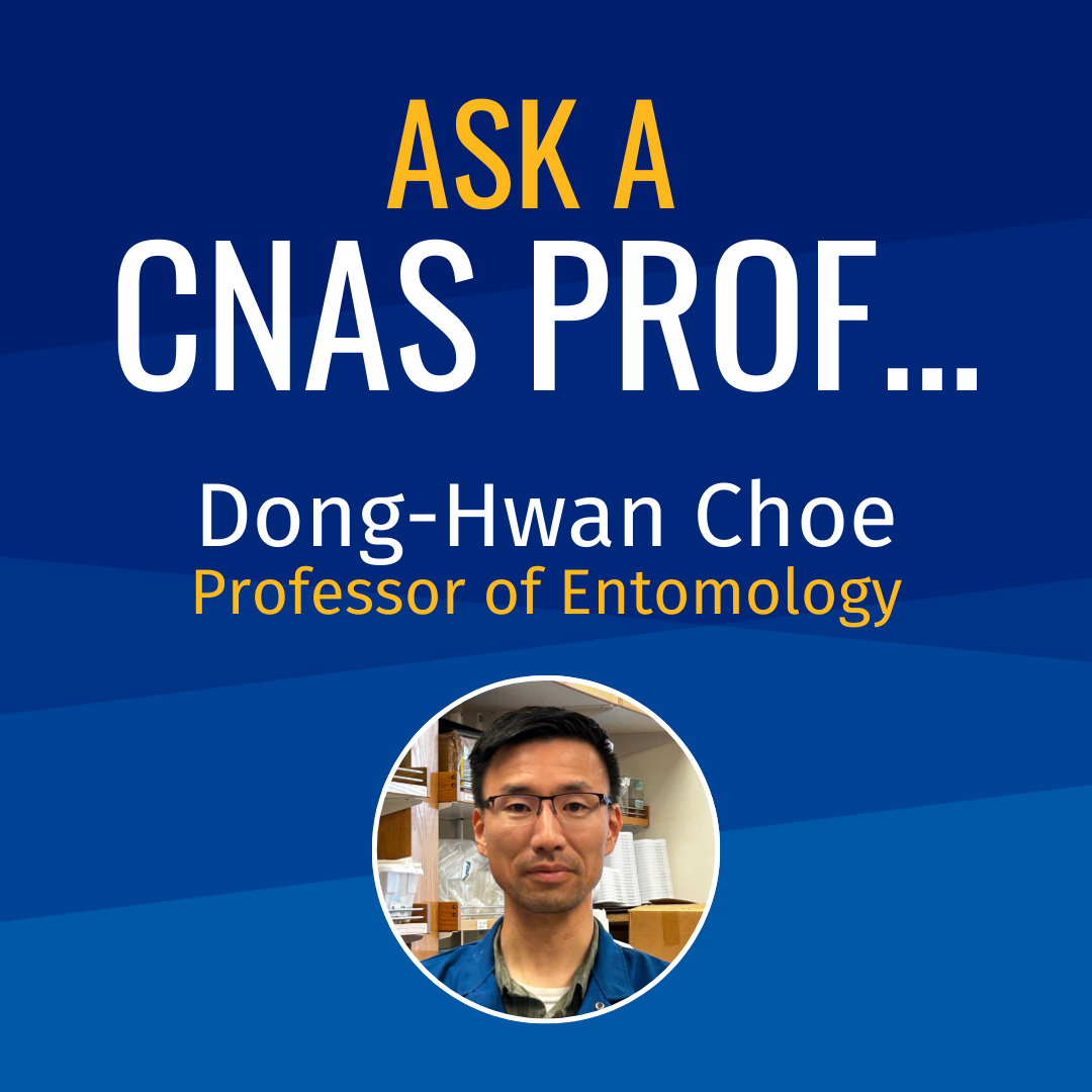 Dong-Hwan Choe Ask a CNAS Prof