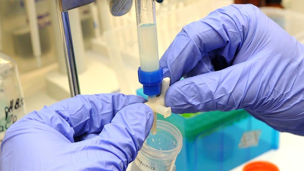 Biochemistry Li Fan, laboratory, (c) UCR Biochemistry Li Fan, laboratory, (c) UCR