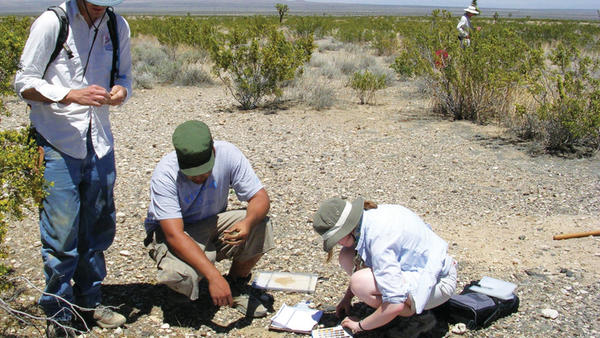 Environmental Science students in the desert (c) UCR / CNAS