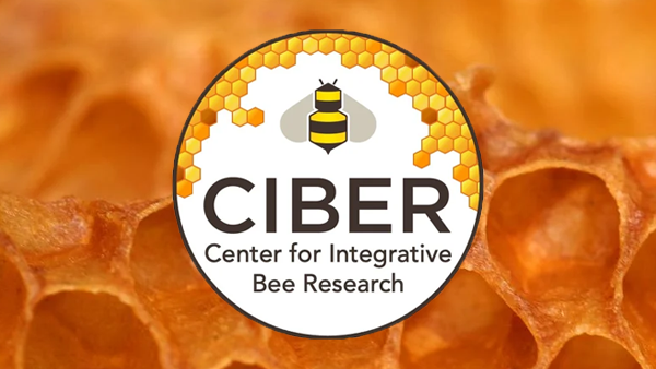 Center for Integrative Bee Research - CIBER