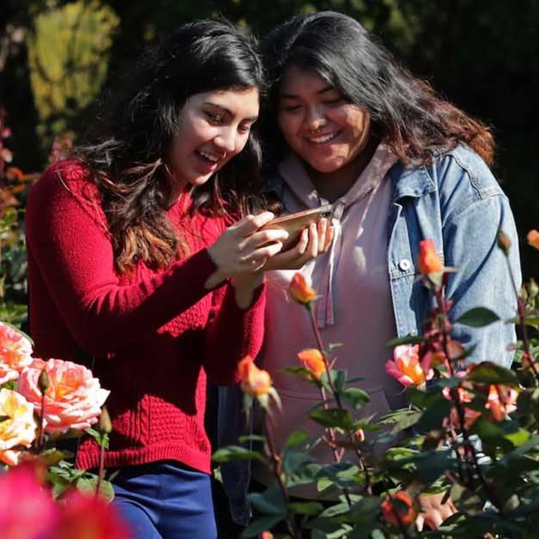 UCR Botanic Gardens, two students in the Rose Garden