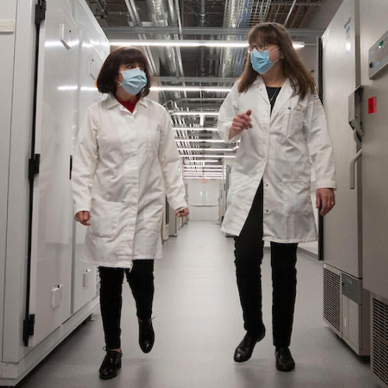 Isgouhi Kaloshia, left, and Katherine A. Borkovich, are the researchers that helped put together a testing lab in the Multidisciplinary Research Building. Credit: Stan Lim