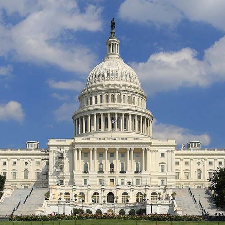 U.S. Capitol 2