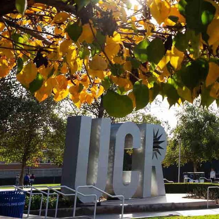 Fall colors, UCR sign, CNAS Scholarships 2020-2021