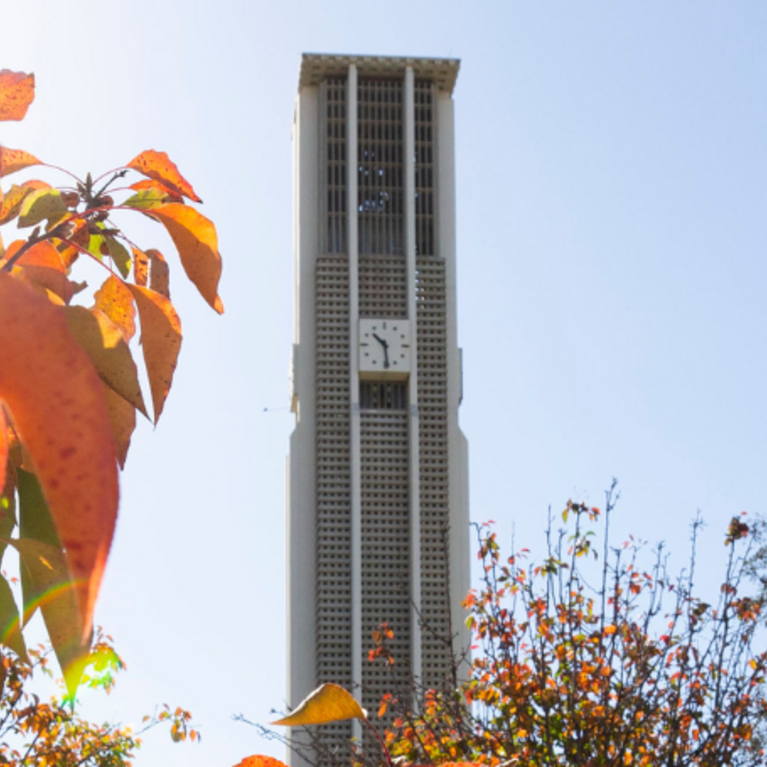 Bell Tower with Fall Leaves