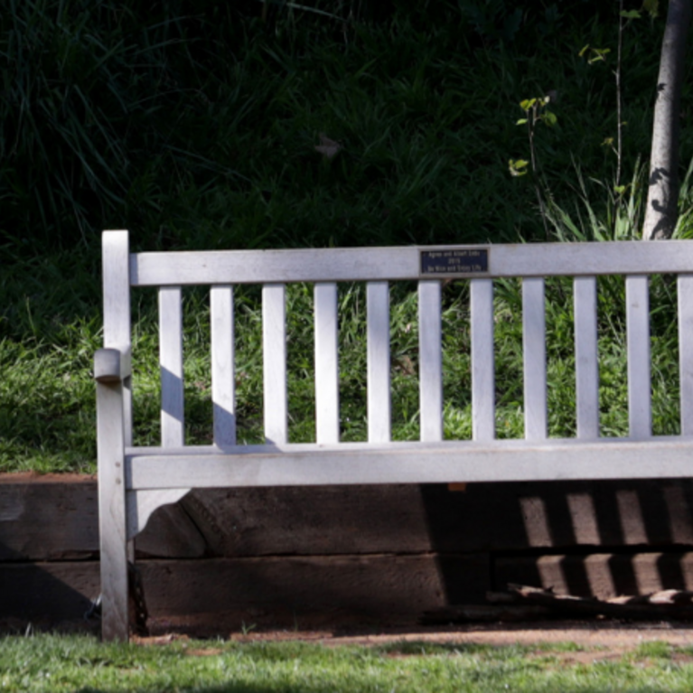 Botanic Gardens Bench