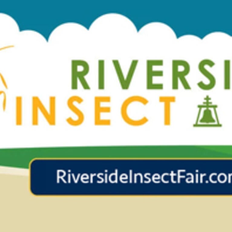 Annual Riverside Insect Fair