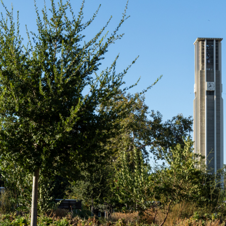 Bell tower with the Native American Garden in the foreground