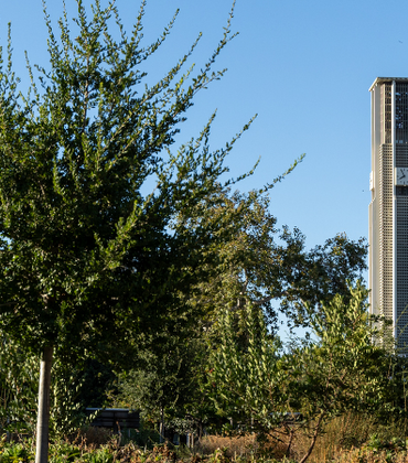 Bell tower with the Native American Garden in the foreground