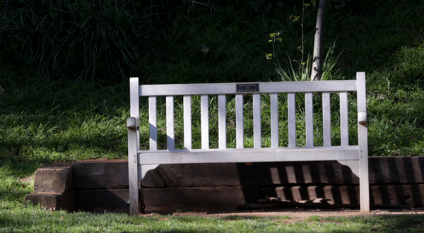 Botanic Gardens Bench