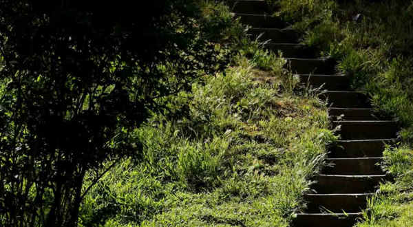 Botanic Gardens Stairs