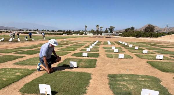 Jim Baird at Turfgrass Field Day