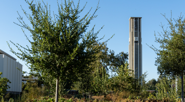 Bell tower with the Native American Garden in the foreground