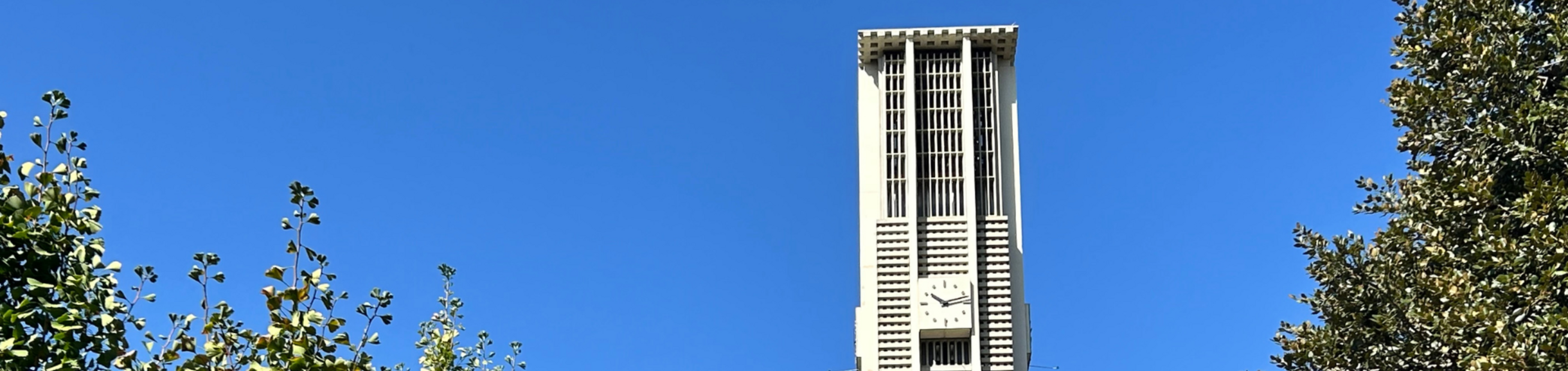 UCR Bell Tower and Foliage