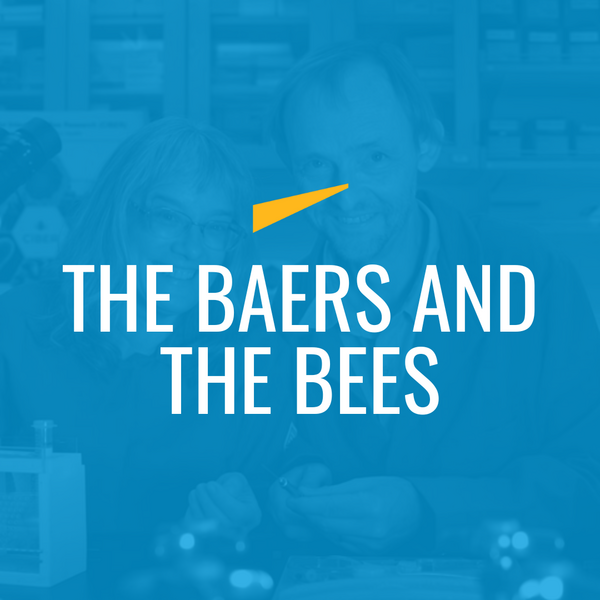 The Baers and the Bees