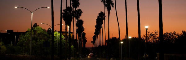 Sunset on campus with palm trees