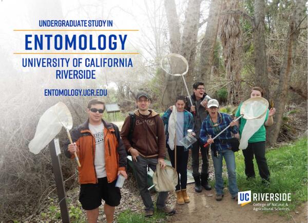 2020 Entomology UG postcard