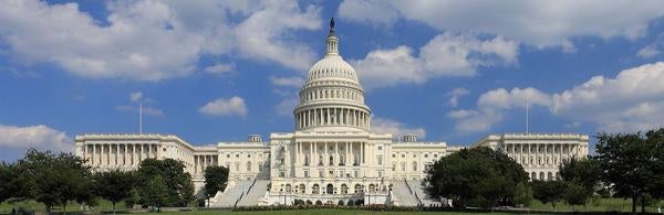 U.S. Capitol 2