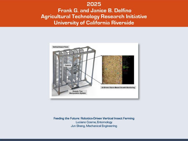 2025 Delfino Initiative Project