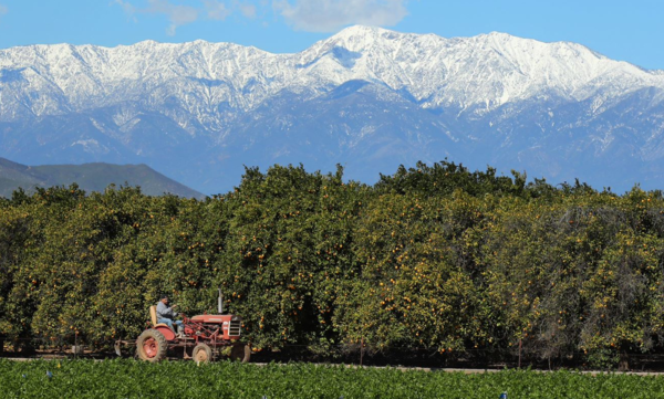 Agricultural Operations (c) UCR / Stan Lim