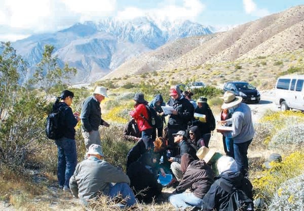 Field Reseearch at Boyd Deep Canyon UCR Natural Reserve (c) UCR