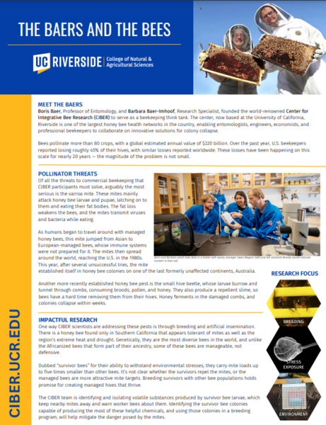 Center for Integrative Bee Research (CIBER) info sheet front