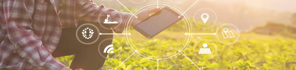 Digital Agriculture Fellowship Image