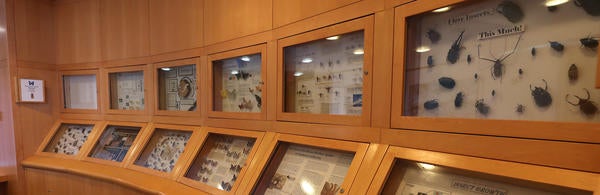 Entomology Research Museum (c) UCR / Stan Lim 2019