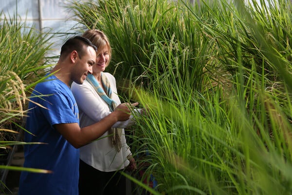 Student & professor in CNAS greenhouse