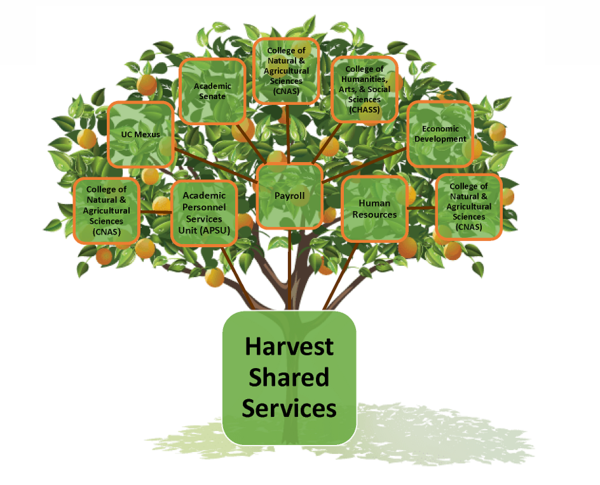 Harvest Shared Services Center logo