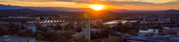 Campus Sunset with Belltower