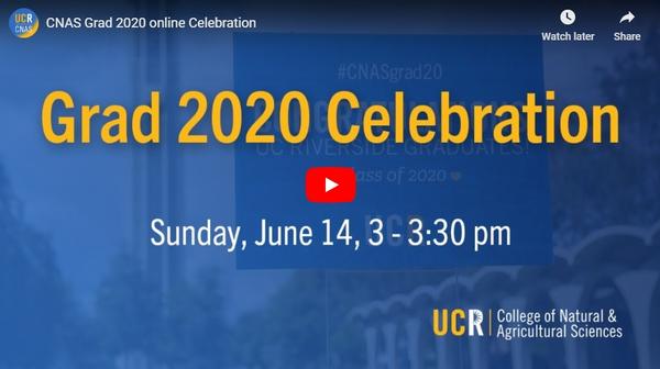 Placeholder image for online Celebration 2020