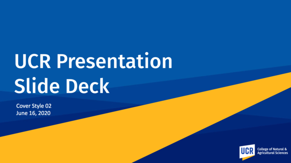 PowerPoint template CNAS 1